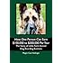 How One Person Can Earn $100,000 to $300,000 Per Year: The Story of Little Farm Kennel Dog Boarding Business