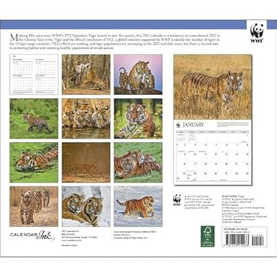 Buy Tigers Wwf 2022 Wall Calendar Calendar – Wall Calendar, November 1, 2021 Online In Kuwait. 1645912035