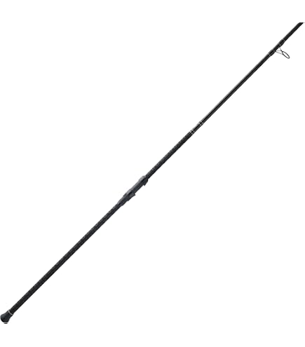 Ugly Stik 10' Carbon Surf Casting Rod, 2 Piece Fishing Rod, Medium Heavy Rod Power, 15-30 lb Line Rating, Lure Rating 2-6 oz : Sports & Outdoors
