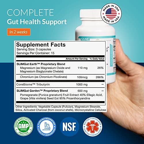 SANE Viscera 3 POSTbiotics with Tributyrin Sodium Butyrate