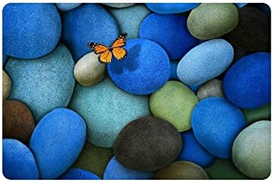 Butterfly Colorful Cobblestones Background Doormat Floor Mat With Non-Slip Backing Bath Mat Rug Excellent Home Decor 23.6"W×15.7"H