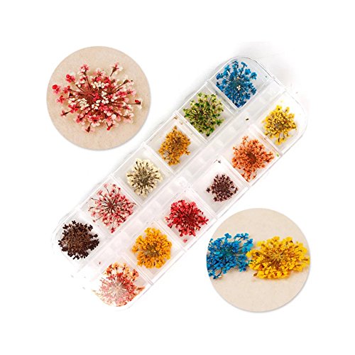 EYX Formula Set of 12 Different Dry Flowers Colors DIY Nail Art 3D Nail Stickers Nail Supplies Dried Flowers Nial Decoration Tool for Manicure