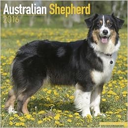 Buy Australian Shepherd Calendar 2016 Book Online at Low Prices in ...