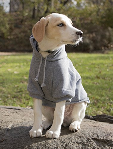 PET LIFE 'American Classic' Designer Fashion Plush Cotton Pet Dog Hooded Sweater Hoodie, Small, Grey