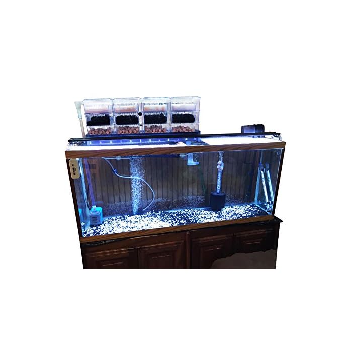 AE SHOP Aquarium Filter Fish Tank Upper Trickle Box Filters System