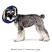 Alfie Pet by Petoga Couture - Candace Soft Recovery Collar (for Dogs and Cats) - Color: BluePlaid, Size: Small
