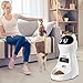 WOPET Automatic Cat Feeders with Timer - 3L Cat Food Dispenser of 4 Meals with 10S Voice Recorder, Support Dual Power for Cats and Dogs （2023 Updated