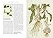 The Bauers: Joseph, Franz & Ferdinand: Masters of Botanical Illustration