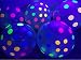 Blacklight Party Balloons - Clear Balloons with Polka Dots that Glow in the Dark under Blacklight - 25 Pack of 11 inch Clear Latex Balloons with Neon Flourescent Polka Dots