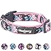 Blueberry Pet 6 Patterns Soft & Comfy Welcoming Spring Rose Flower Prints Girly Padded Dog Collar, Small, Neck 12