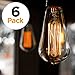 Newhouse Lighting ST64INC-6 ST64 Vintage Light Bulb 6-Pack Edison Bulbs-ST64 Style 60 Watts-Dimmable, Medium (E26) Standard Base E27-Squirrel Cage, 6-Pack, 2.7, Amber