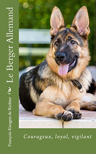 Le Berger Allemand Fier Loyal Vigilant Chiens De Race T