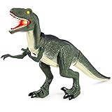 Best Choice Products Velociraptor 21in Large Walking Toy Dinosaur w/ Real Sound and Lights
