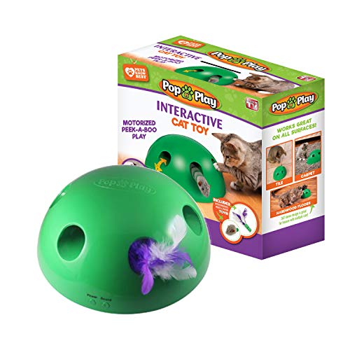 Pop N’ Play Interactive Motion Cat Toy, Includes Electronic Smart