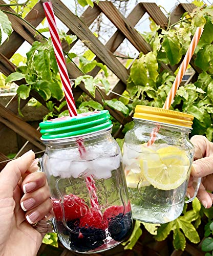 4 TheBarsentials+Colorful+Reusable+Fashioned+Drinking
