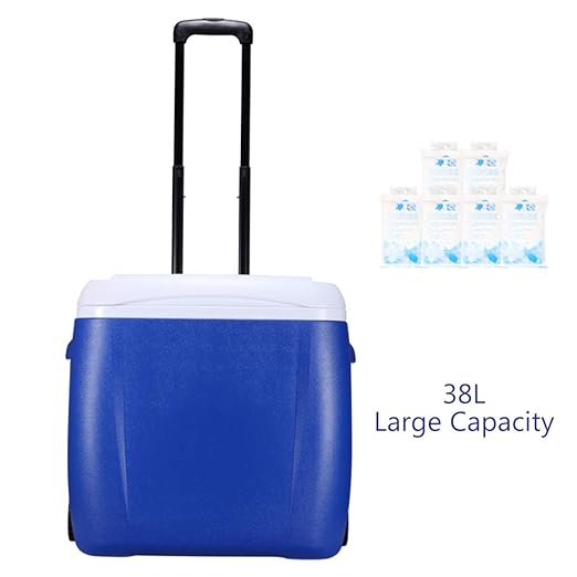 Compra Portátil Nevera Rigida Nevera Termoeléctrica, aislamiento ...