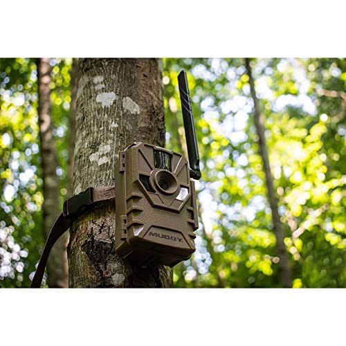 Sd Card Muddy Outdoors Manifest Mp Trail Camera Muddy Hunting