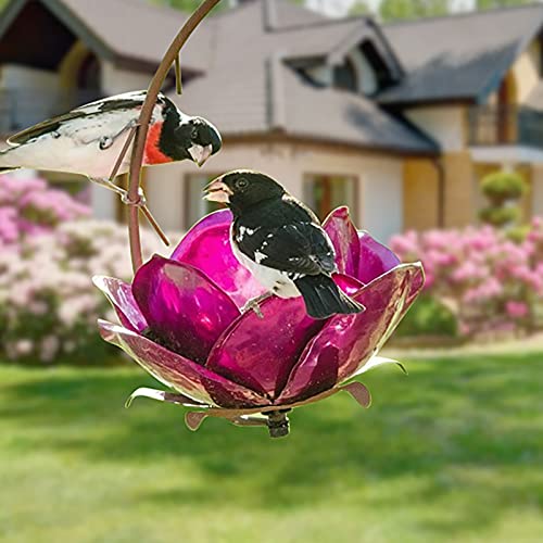 Sensation Pink Flower Bird Feeder Hummingbird Feeder, Unbreakable Feeder,Standing Flower Bird Feeder, Hummingbird Feeder for Lawn Decoration (Pink)