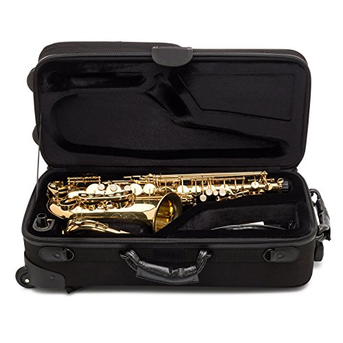 Jean Paul USA ACW100 Alto Saxophone Case Pricepulse