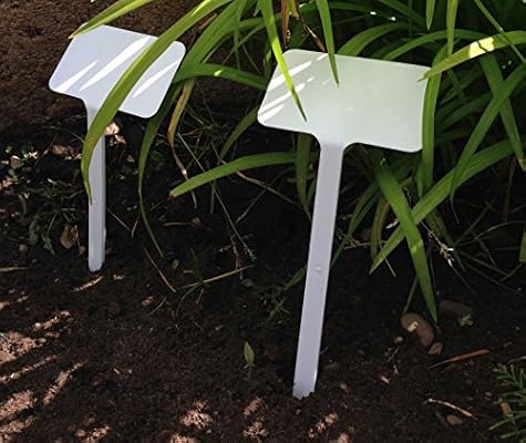 Yuzet - Etiquetas para plantas (25 unidades, letrero inclinado ...