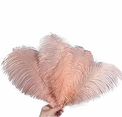 Lampu 10pcs Ostrich Feathers 14-16inch(35-40cm) for