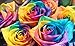 Rose Flower Seeds, 100 Pieces, Rainbow variant