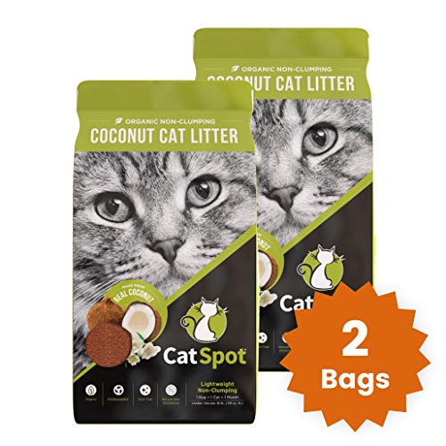 Suffer from Asthma? Our list of the best cat litters for asthma and