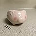 Cute Piglet Flower Pot - Mini Ceramic Planter for Succulents - Pink