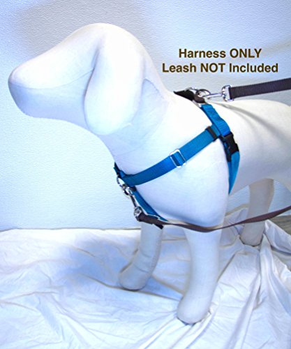 1" Wide XLarge Freedom No-Pull Harness ONLY - Direct from Inventor (Teal w/Brown Loop)