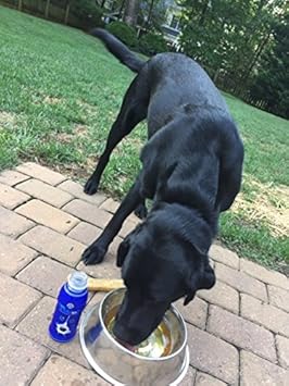 Amazon Com Petrol Dog Treat 4 Count Pet Supplies