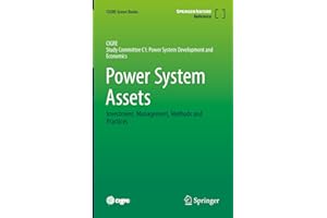 Power System Assets: Investment, Management, Methods and Practices