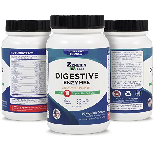 Digestive Enzyme Supplements Lipase Amylase Bromelain at Karisa Walters