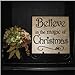 Believe in The Magic of Christmas Vinyl Lettering Wall Decal Sticker (Black, 10.2