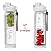 Zenfuze 3-in-1 Fruit Infuser Water Bottle with Flip Top Locking Lid, Clear (27 Ounce)