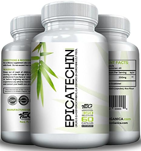 EPICATECHIN (350mg x 60ct) by EVOGANICA