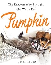 Curiosities of the California Desert: Historic; Offbeat  Forgotten Attractions