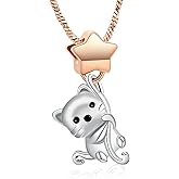 Yinplsmemory Cremation Jewelry Cat Urn Ashes Necklace for Women Stainless Steel Memorial Star Keepsake Urn Ashes Necklace for Cat/Human Ashes