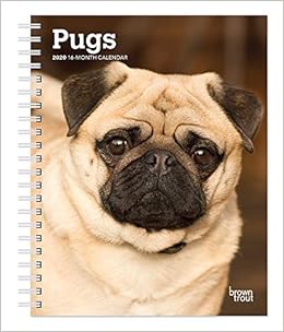 amazon pug dog