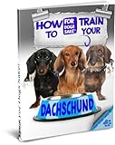 How to Train your Dachshund