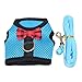 Rypet Guinea Pig Harness and Leash - Soft Mesh Small Animal Harness with Safe Bell, No Pull Comfort Padded Vest for Guinea Pigs, Ferret, Chinchilla and Similar Small Animals