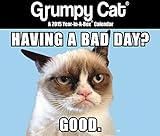 Grumpy Cat Boxed Calendar (2015)