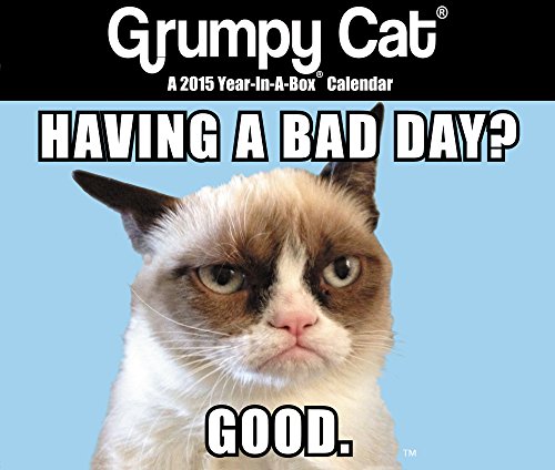 FREE Grumpy Cat Boxed Calendar (2015) PPT