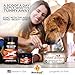 Probiotics for Dogs & Cats with Prebiotics & Digestive Enzymes Best for Gas Diarrhea UTI & Yeast Infection Relief Grain Free Powder Supplement Organic Coconut Oil Pumpkin & Turmeric Made in The USA