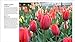 The Plant Lover's Guide to Tulips