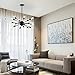 Light Society Sputnik 18-Light Chandelier Pendant, Matte Black, Mid Century Modern Industrial Starburst-Style Lighting Fixture (LS-C115-BLK)