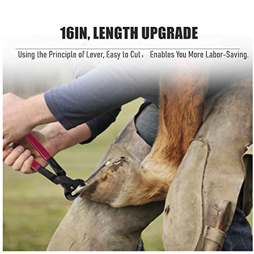 U/N Farrier Tools, Horses Hoof Trimmers Tools,Rasp Hoof Cutter Set