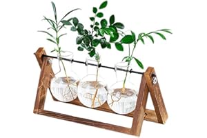 BBRAND Water Planting Glass Vase Desktop Glass Planter Bulb Vase Hanging with Retro Solid Wooden Stand for Hydroponics Plants Home Office Decor (Three)