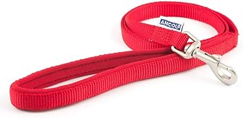 fyrehouse dalmatians