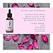 Vitamin C E Ferulic With Hyaluronic Acid Serum POTENT Facial Anti Aging & Brightening | Acne Scar Treatment & Dark Spot Remover 17% L-Ascorbic Acid