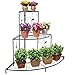 Black Floral Design Metal Step Style 3 Tier Corner Shelf Flower Pots, Planters Display Stand / Shoe Rack